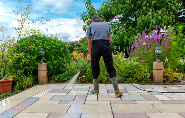Best Roof Cleaning and Mildew Removal in St James, NY